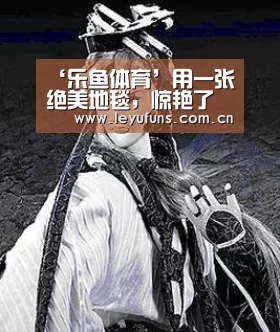 ‘乐鱼体育’用一张绝美地毯,惊艳了家里的时光(图1) 乐鱼登陆
