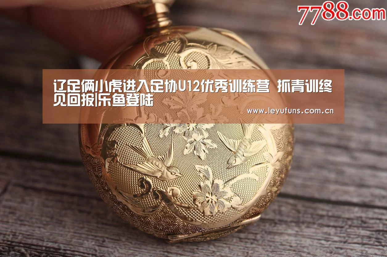 乐鱼登陆